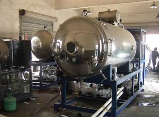 20 ㎡ Temperature Control Vacuum Freeze Dryer , Fruit And Vegetable Drying Machines
